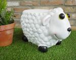 Sheep Stool single seater