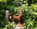 Cast iron cockerel